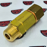 VÁLVULA ANTIRRETORNO PARA SAECO